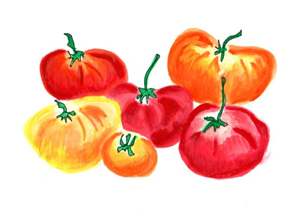 Watercolor painting of tomatoes