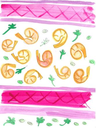 Watercolor painting of shrimp