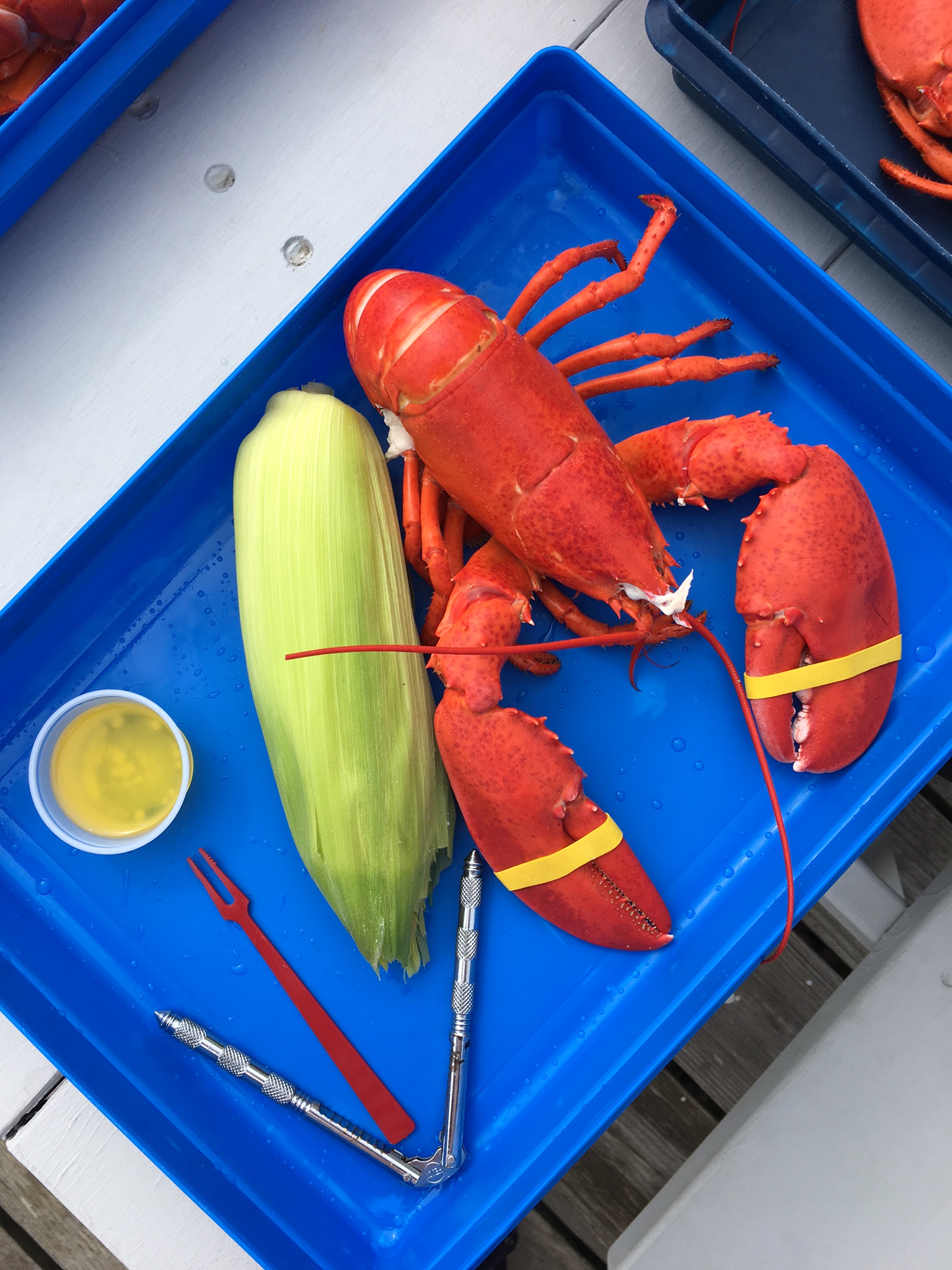 Maine Lobster lunch in Kennebunkport